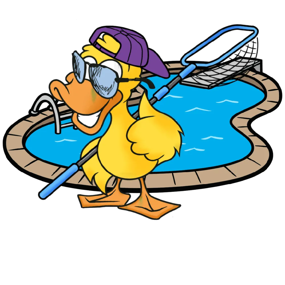 Lucky the duck standing beside a clean blue pool