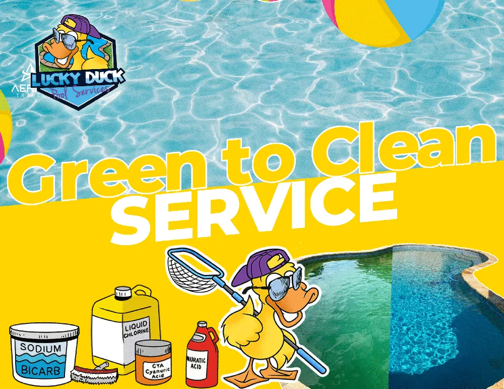 Green to clean pool treatment