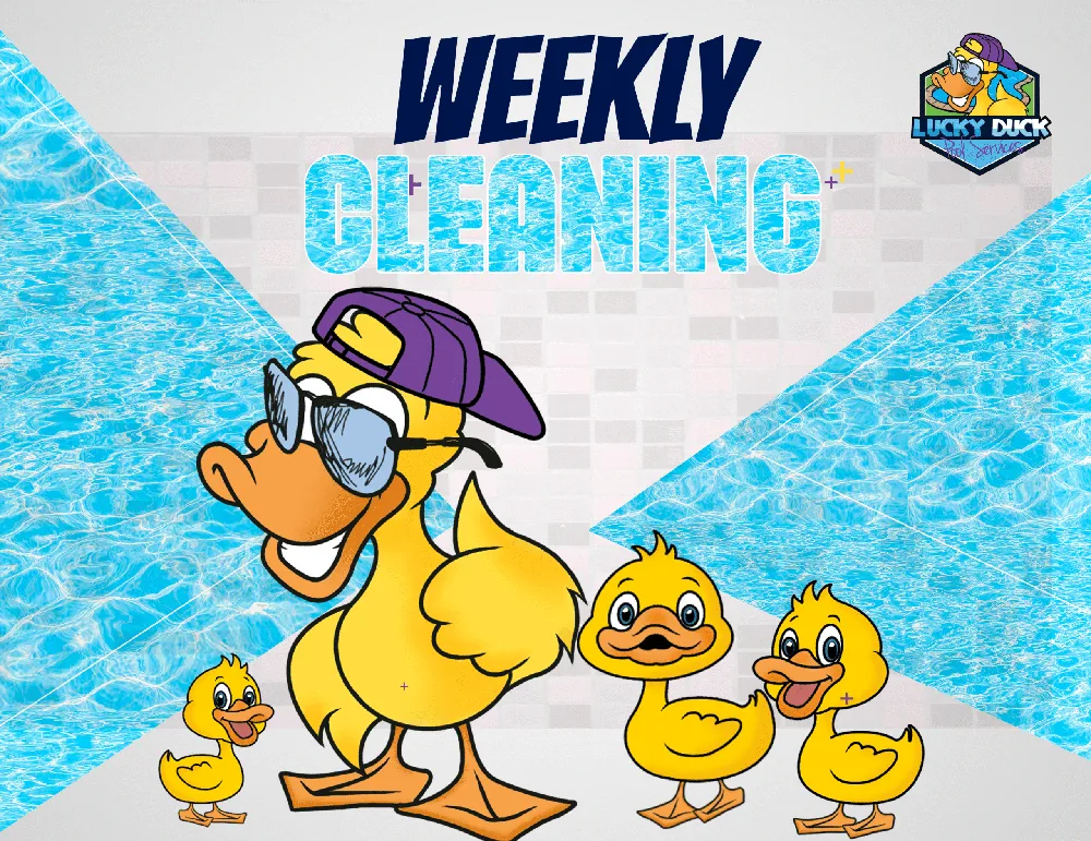 Weekly pool cleaning with Lucky and ducklings